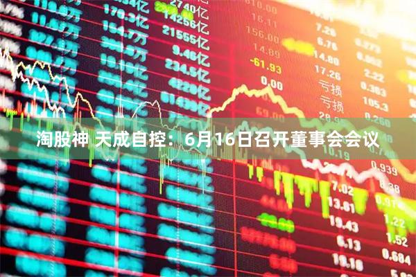 淘股神 天成自控：6月16日召开董事会会议