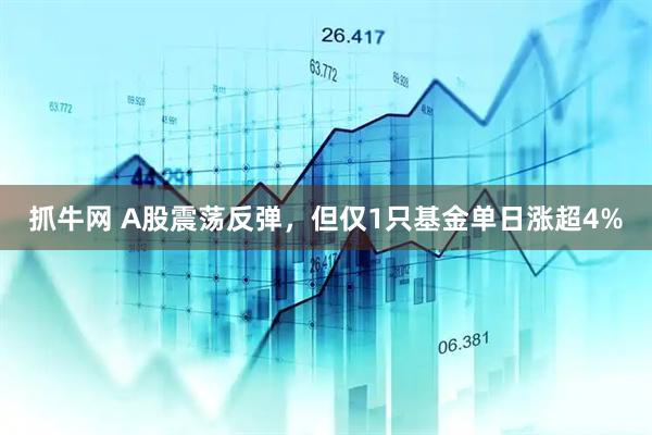 抓牛网 A股震荡反弹，但仅1只基金单日涨超4%