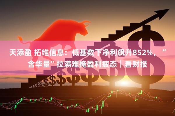 天添盈 拓维信息：低基数下净利飙升852%，“含华量”拉满难掩盈利疲态｜看财报